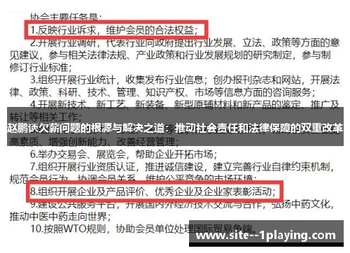赵鹏谈欠薪问题的根源与解决之道:推动社会责任和法律保障的双重改革 赵鹏谈欠薪问题的根源与解决之道:推动社会责任和法律保障的双重改革