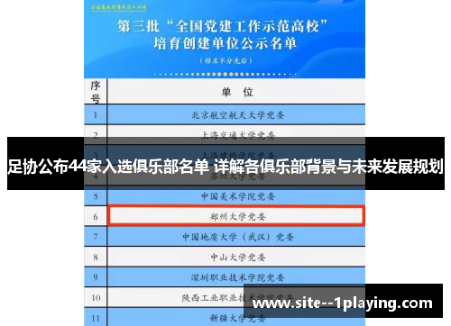 足协公布44家入选俱乐部名单 详解各俱乐部背景与未来发展规划